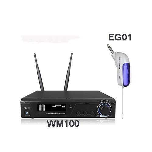 WM100+EG01