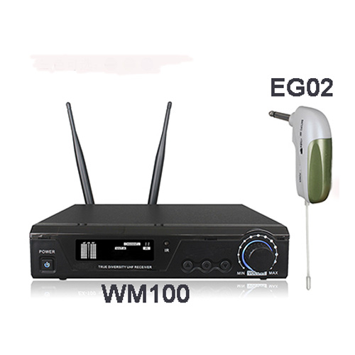 WM100+EG02