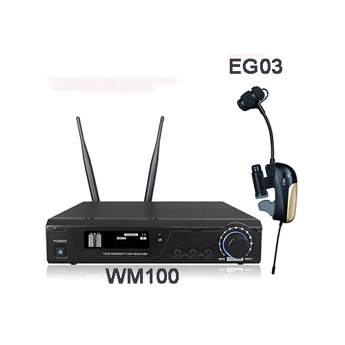 WM100+EG03